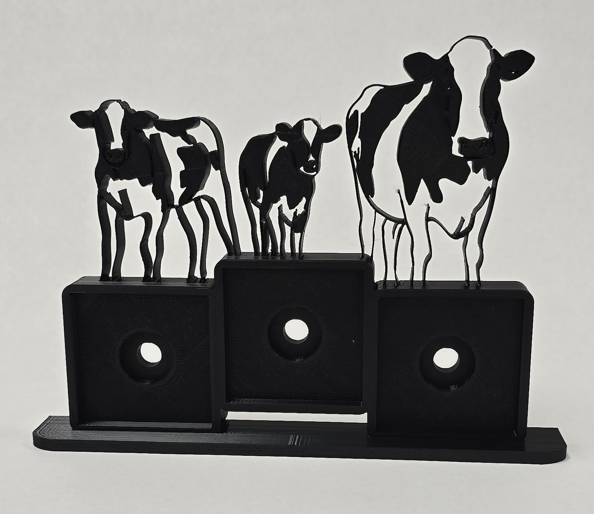 3d Printed Frames — 17